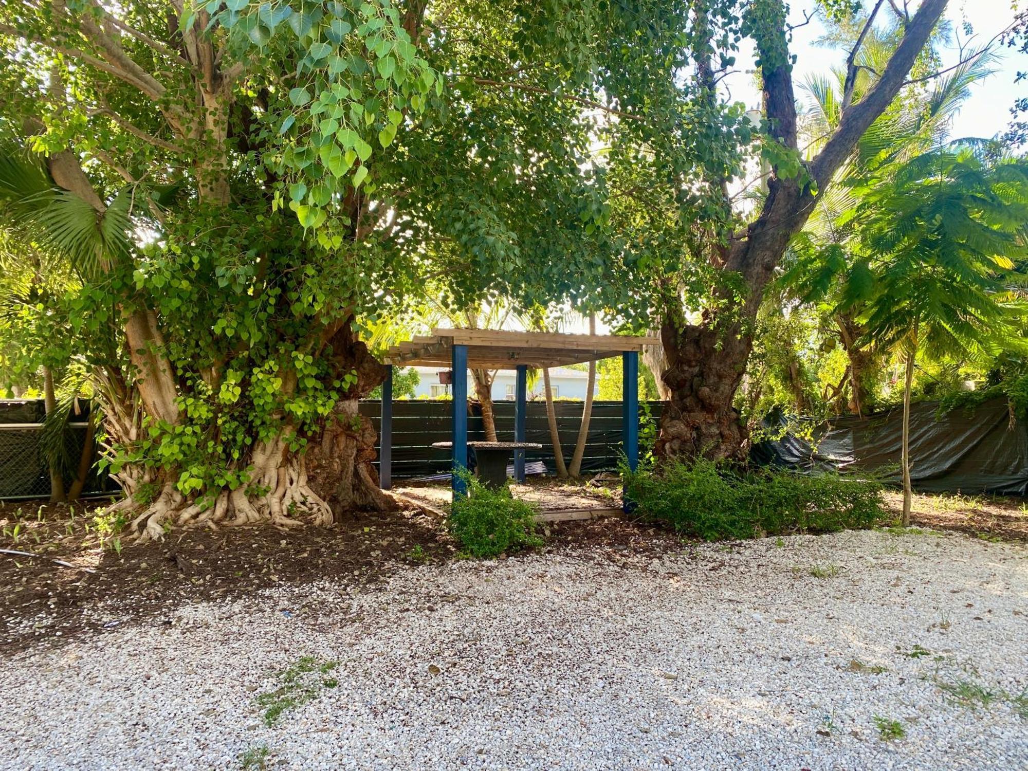 Private Rooms At Miami Centrally Located With Free Parking Exterior photo
